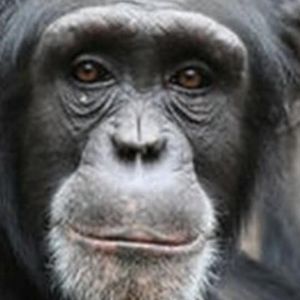 Meet your Posher, Ricardo